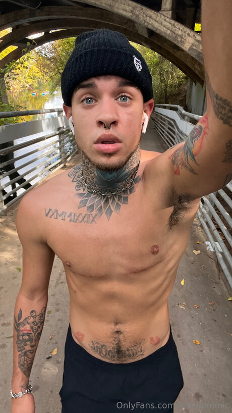 Ftmonlytrans pornstar pretty image