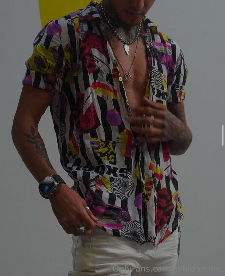 Ftmonlytrans pornstar adult pics