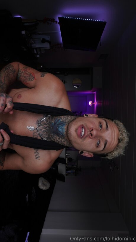 Ftmonlytrans adult star galleries