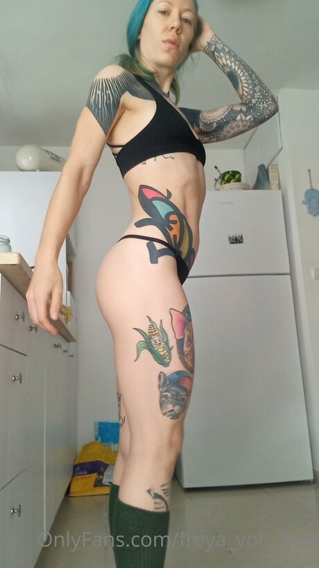 Freya Volt Free pretty star gallery