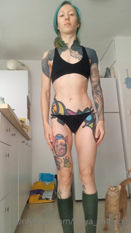 Freya Volt Free nude actress pics