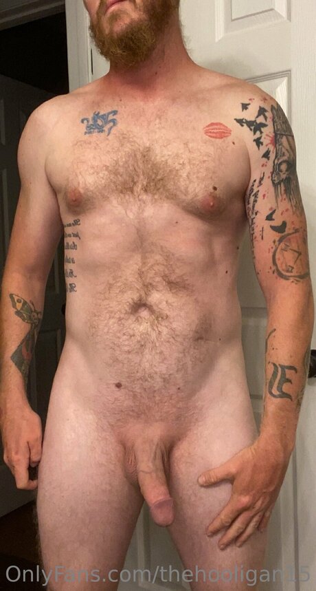 Thehooligan15 model top image