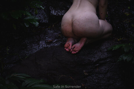 Safeinsurrender star free photo