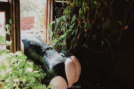 Safeinsurrender star sexy image