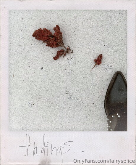 Fairysplice model sex photo