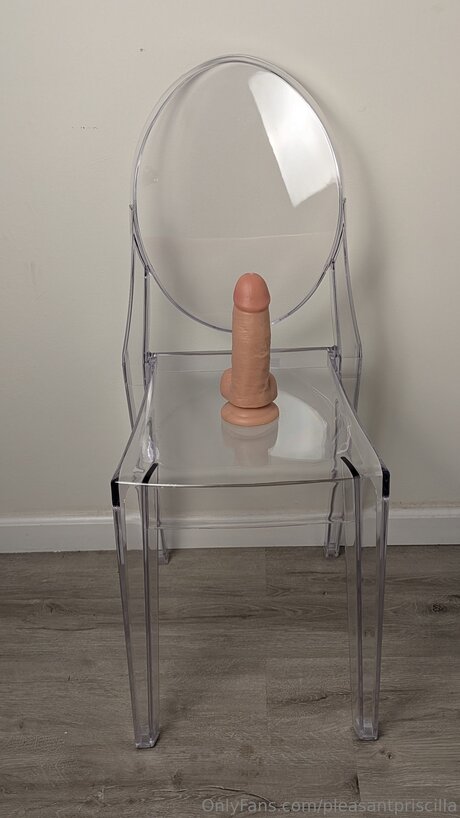 Pleasantpriscilla model sex galleries