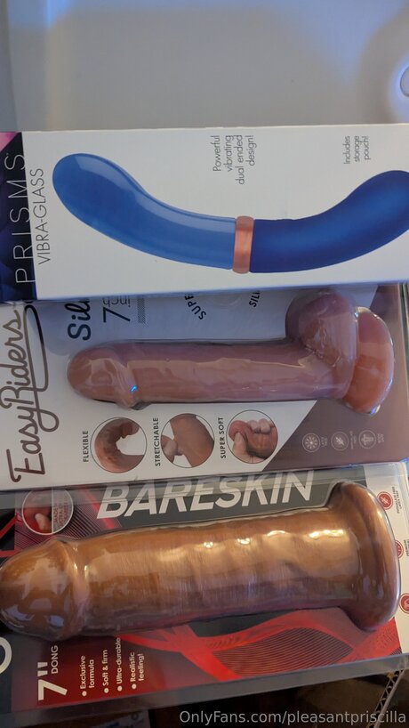 Pleasantpriscilla star nudes images