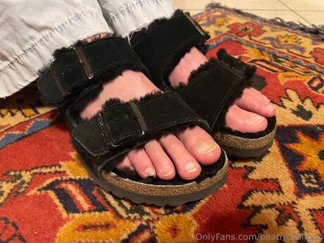 Beatricefilippo erotic star archive