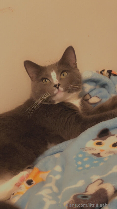 Littleleah413 top actress pictures