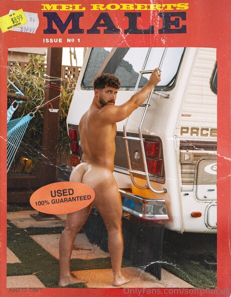 Softphocus model pretty picture