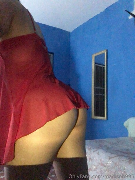 Madison995 model best pictures