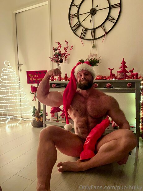 Pup Hulky star adult photo