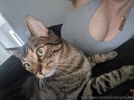 Mysterymullet exclusive star photo