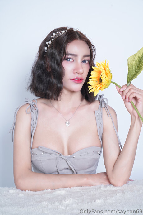 Saypan69 star images