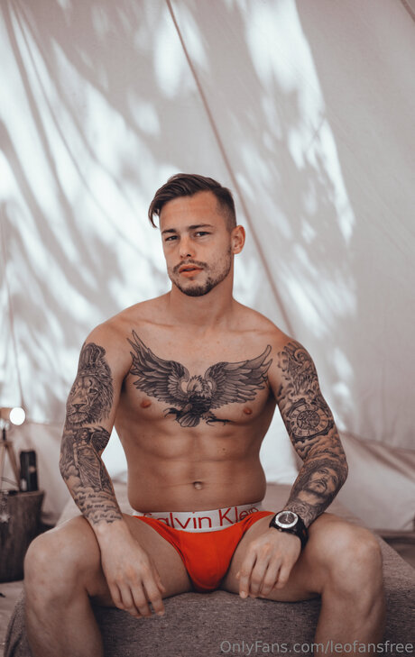 Leofansfree pornstar nice galleries