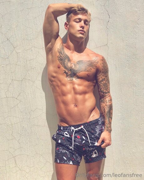 Leofansfree perfect star photos