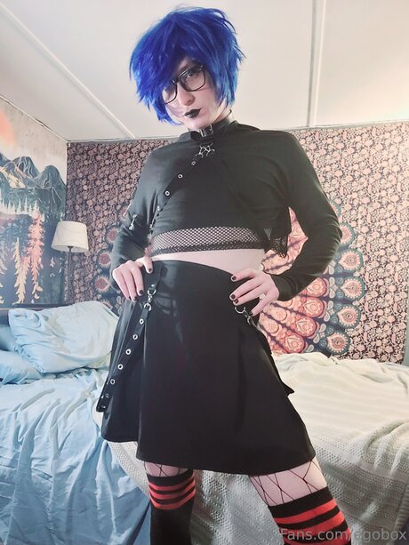 Egobox star top photo