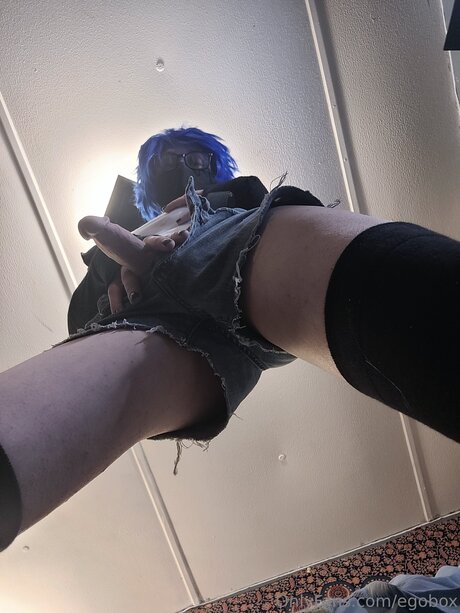 Egobox model high quality img