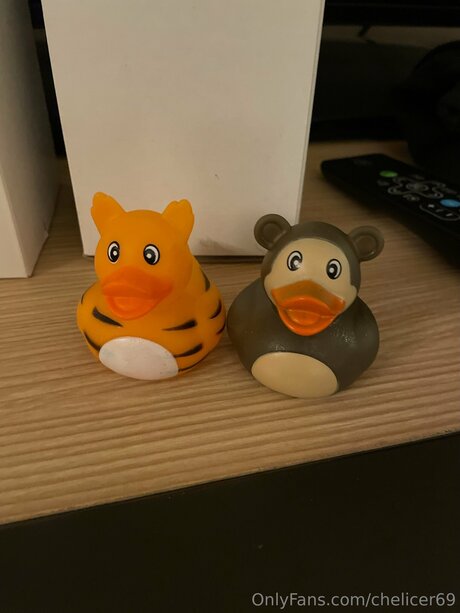 Chelicer69 pornographic actress img