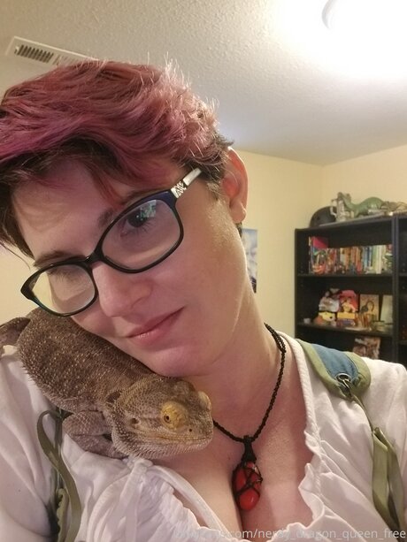 Nerdy Dragon Queen Free star high quality galleries