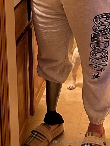 Leglessdesires beautiful pornstar images