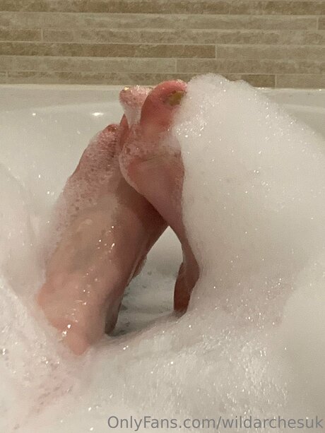 Wildarchesuk star nice galleries