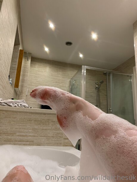 Wildarchesuk star adult images