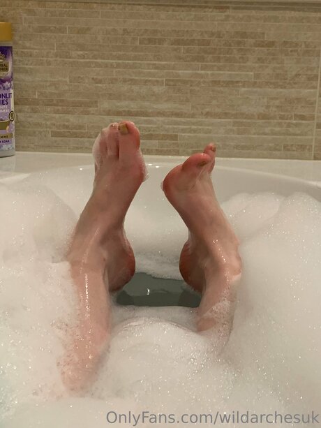 Wildarchesuk star adult picture