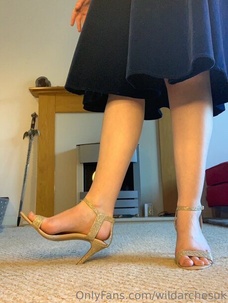 Wildarchesuk star free pictures