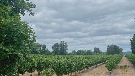 cum in ass onlyfans erotic images