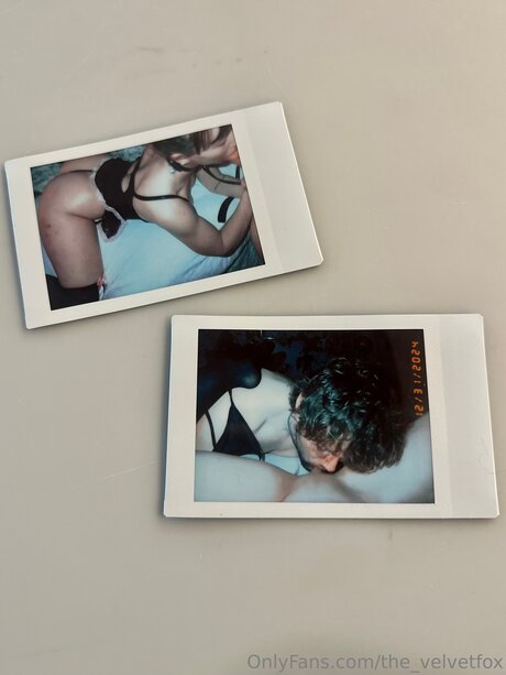 The Velvetfox naked star photo