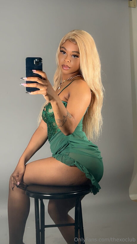 Thexoclub pornstar art gallery