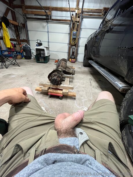 Packinsnax model art images