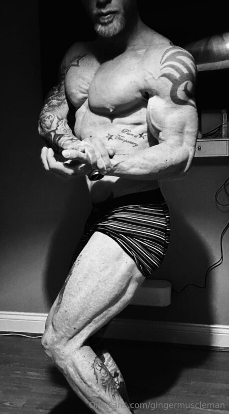 Gingermuscleman model top photo