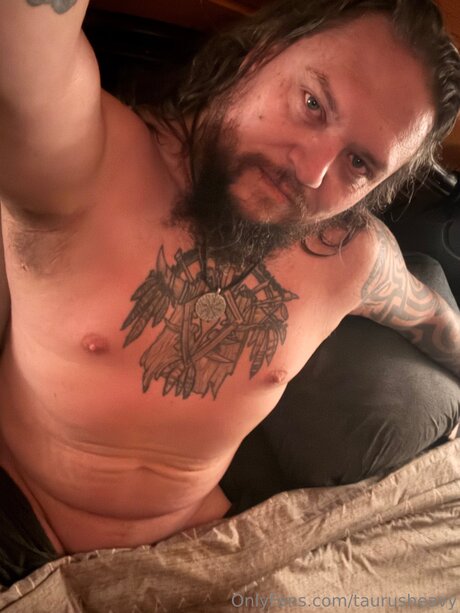 Taurusheavy model perfect archive