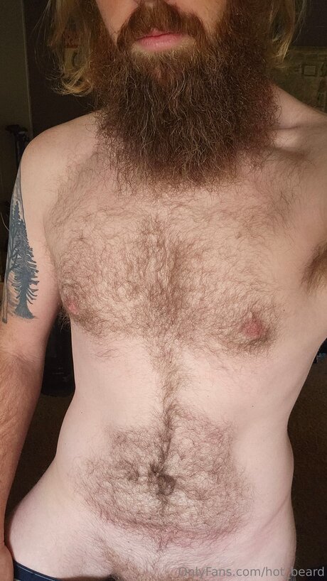 Hot Beard star gallery