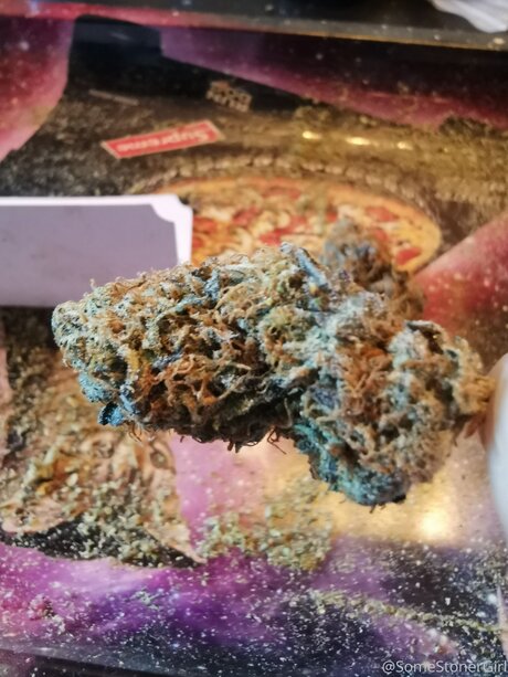 Somestonergirl pornstar perfect img