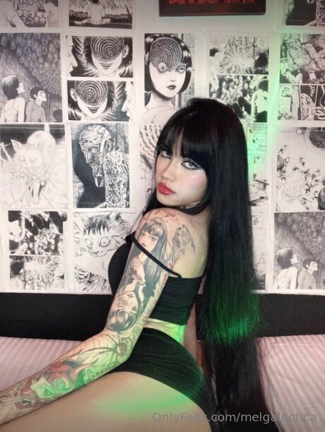 Melgalactica star top pictures