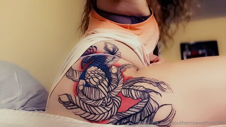 Southernsweetheart96 top pornstar pics