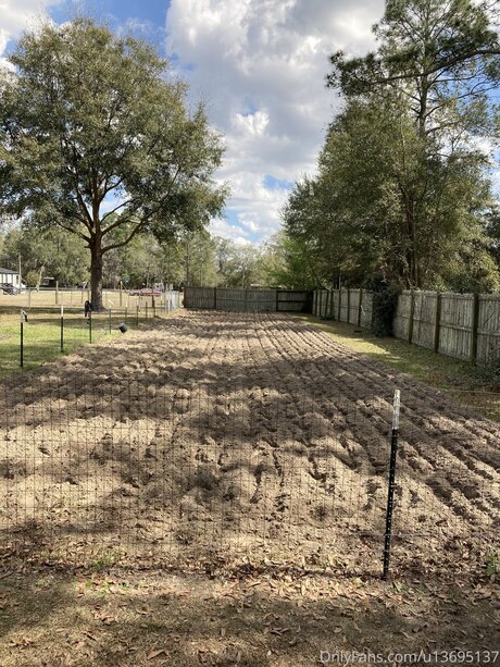 U13695137 star sexy photo