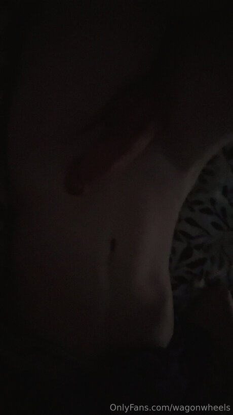 Wagonwheels Profile photo