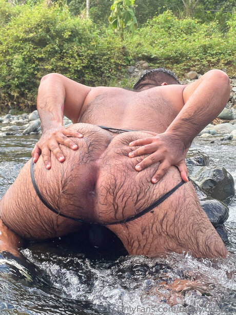 Teddy Bear05 star beautiful images