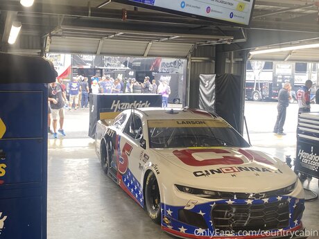 Countrycabin star art pictures