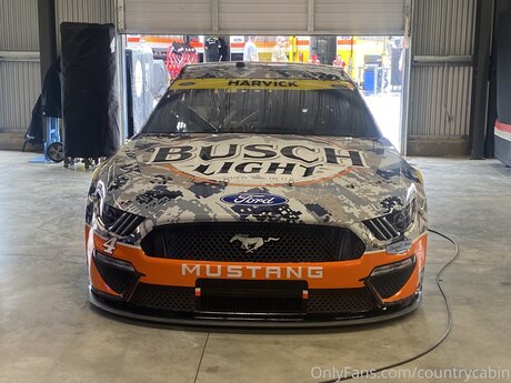 Countrycabin art star pictures