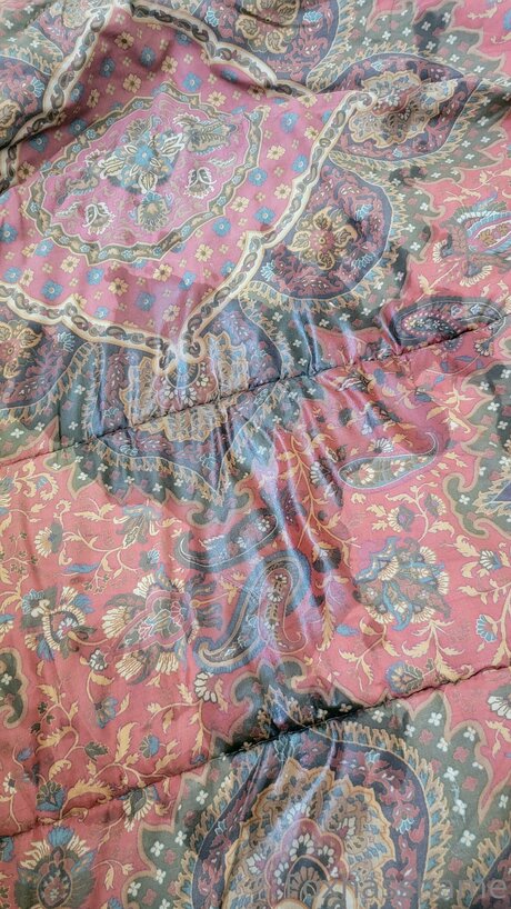 Foxhasshame hd pornstar pic