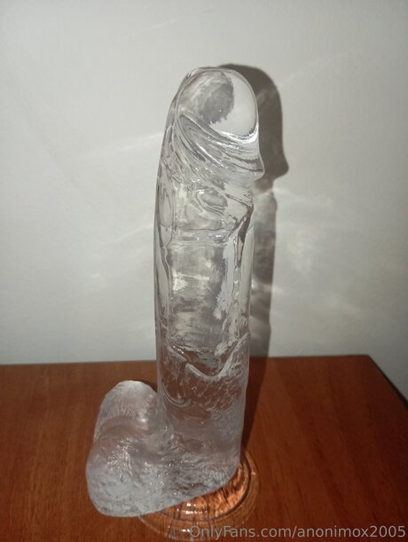 Anonimox2005 model perfect galleries