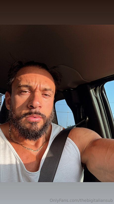 Thebigitaliansub star high quality image