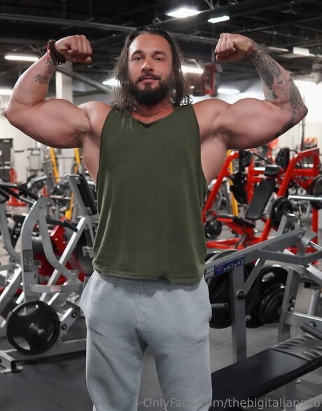 Thebigitaliansub star beautiful archive