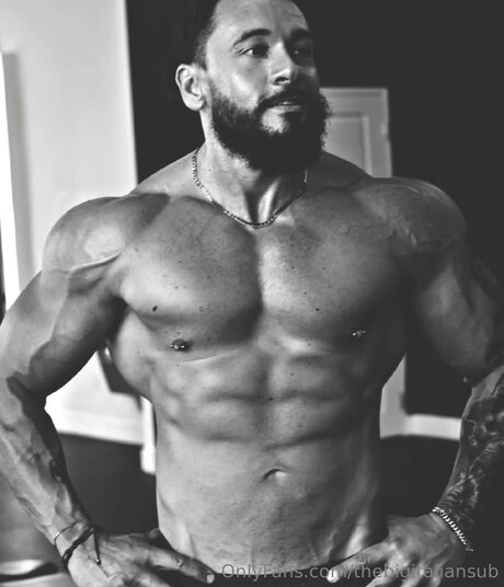 Thebigitaliansub xxx actress archive