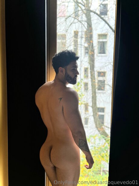 Eduardoquevedo01 nice star gallery